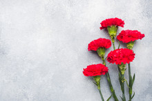 Red Carnations On Concrete Background With Copy Space. Mother's Day Card, Valentine's Day.