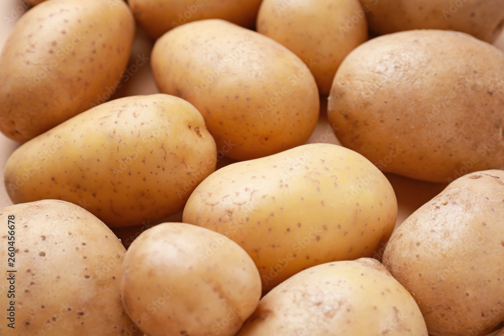 Many raw potato, closeup
