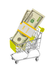 Wall Mural - Money in shopping cart