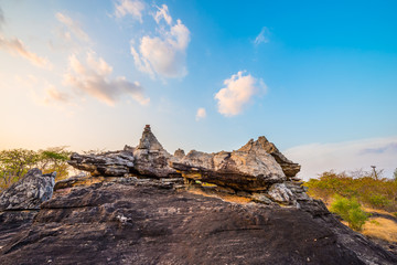 Wall Mural - On limestone hills.49