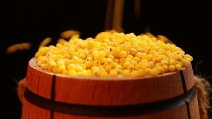 Sticker - Yellow wheat in a barrel