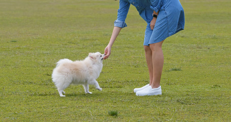 Canvas Print - Woman train with her dog at green lawn