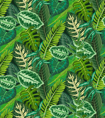 Wall Mural - Vector seamless pattern with tropical palm leaves, jungle plants.