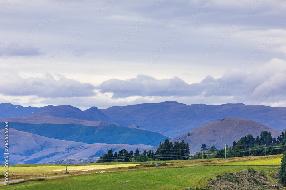 Landscape scenery in south New Zealand - obrazy, fototapety, plakaty 