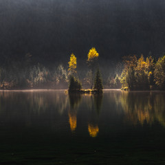 Wall Mural - Sunny autumn morning view on Lake Gosaub in Austria,with golden, orange and yellow trees