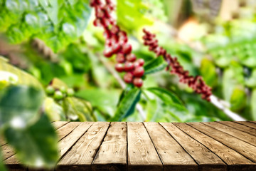 Canvas Print - Desk of free space for your decoration and coffee plantation. 