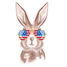 Independence Day Bunny Rabbit USA Free Stock Photo - Public Domain Pictures