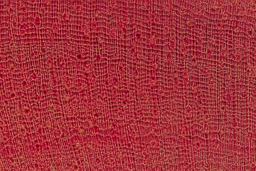 Woven fabric canvas material macro in red
