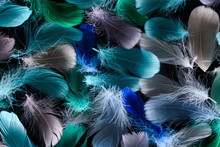 Seamless Background With Multicolored Bright Plumes Isolated On Black