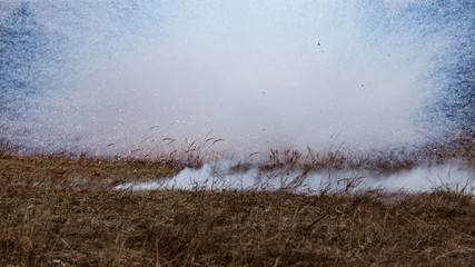 Wall Mural - Grenade explosion on the battlefield on the battlefield