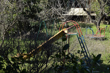 Swings And Slides In Abandoned Overgrown Playground