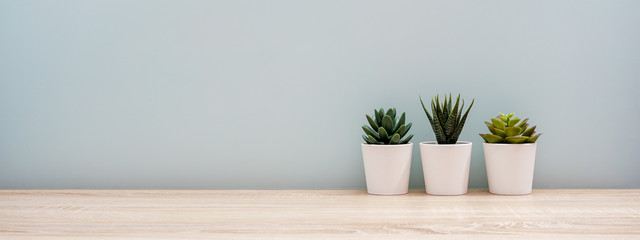 Wooden desk table top with tree pot on white wall, with copy space