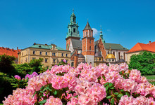 Wawel Castle And Flowers In Krakow, Poland.