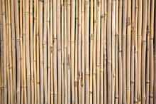 Yellow Bamboo Wall Background