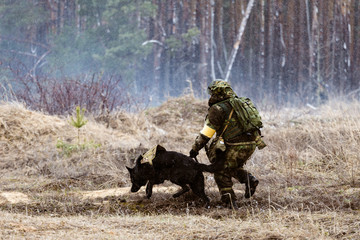 Wall Mural - Dog on the battlefield