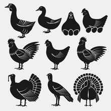 Poultry Silhouettes Set. Domestic Fowls Icons