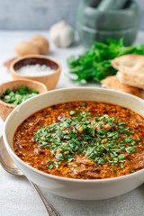 Wall Mural - Traditional Georgian soup Kharcho in bowl on gray concrete background. Selective focus.