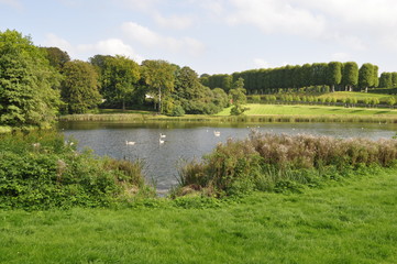 Wall Mural - Pond in a park in Denmark