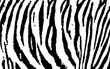 Tiger Animal Print Vektor Grafik
