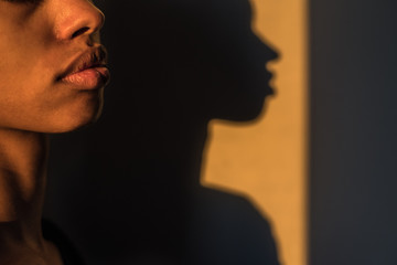 Beautiful anonymous woman face shadow