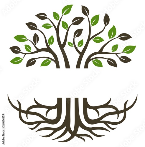 Fotografía Circular trees and roots suitable for icons, logos, symbols and more