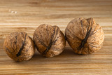 Fototapeta  - Row of walnuts
