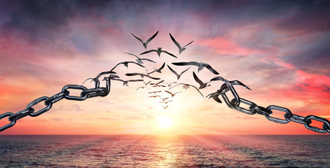 on the wings of freedom - birds flying and broken chains - charge concept