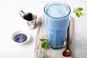 Blue matcha latte in tall glass, tea from the dried flowers of the butterfly pea plant