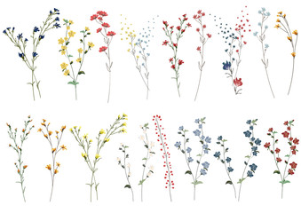 big set botanic blossom floral elements. branches, leaves, herbs, wild plants, flowers. garden, mead