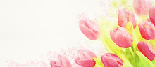 Watercolor Spring Tulips Background