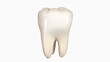 © gaetan - 3D illustration of a tooth