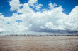 skyline amazon river