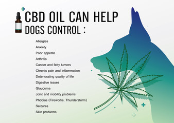 cbd oil can help dogs control and vector infographic on white background.