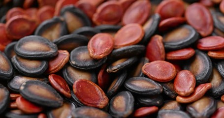 Canvas Print - Black and red melon dry seed for lunar new year