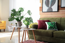 Soft Couch With Green Plants In Interior Of Living Room