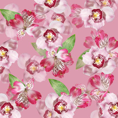 Fotomurales - Beautiful floral background of Alstroemeria and Orchid. Isolated 