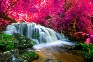  Niesamowity w naturze, piękny wodospad w kolorowym lesie jesienią w sezonie jesiennym