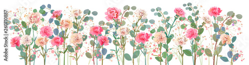 Panoramic view of carnation schabaud. White, pink, red flowers, twigs gypsoph...