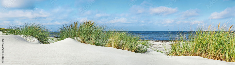 Baltic Sea Beach with Dunes and Ocean View - Panorama - obrazy, fototapety, plakaty 