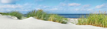 Baltic Sea Beach With Dunes And Ocean View - Panorama