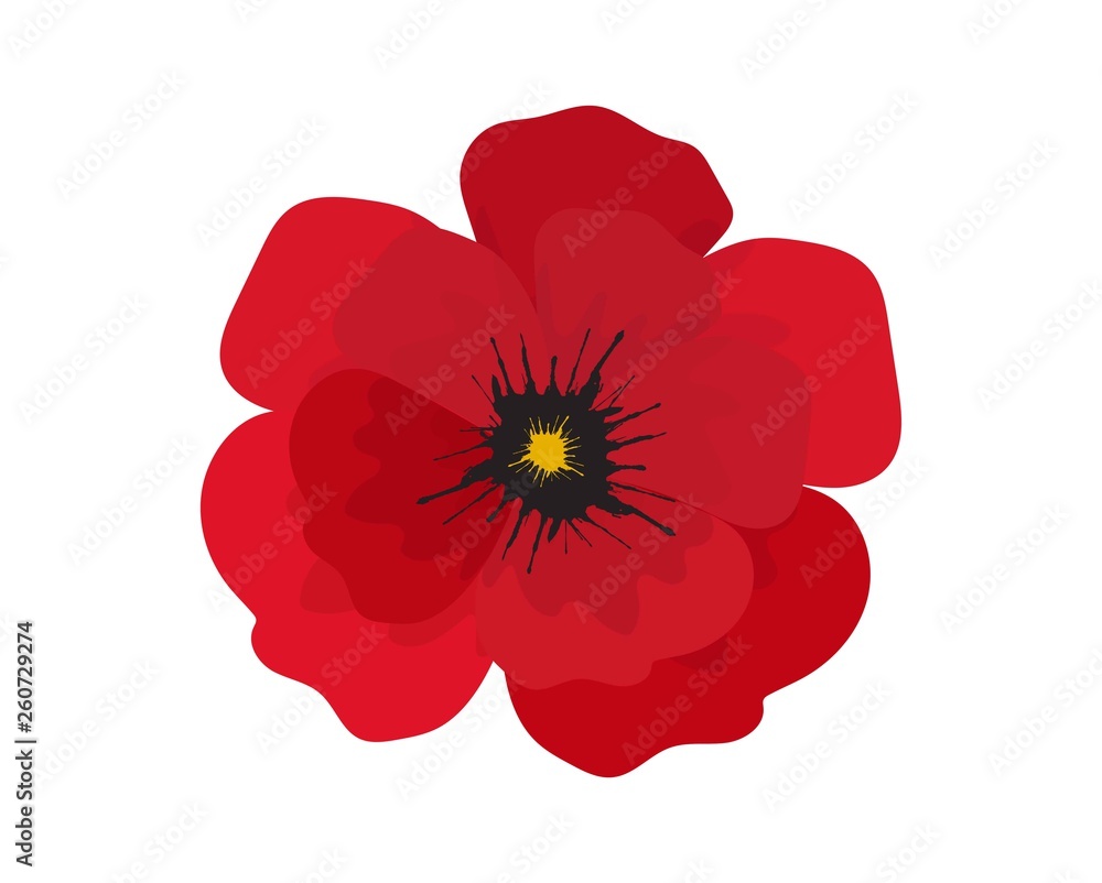 Red poppy flower isolated on white background. Stock Vector | Adobe Stock, image size:1000x802