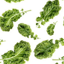 Seamless Pattern With Green Kale Leaf Isolated On White. Vegetable Background. Food Texture. Close-up Photo.