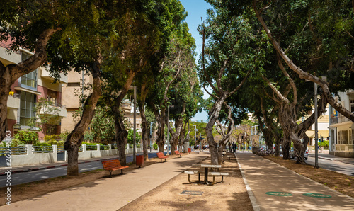 Fotografía View of boulevard Rothschild, the most prestige and luxury area in Tel Aviv