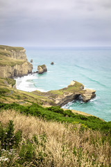 Sticker - Tunnel Beach New Zealand