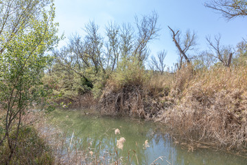 Wall Mural - Paisajes de la ribera del rio ebro en flix - Ribera d'ebre - Tarragona