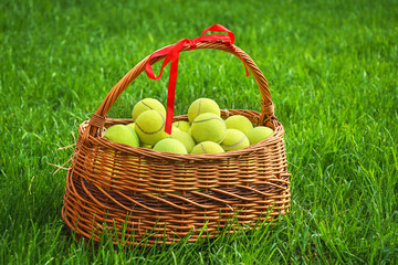 Wall Mural - Tennis Easter with tennis balls in a basket on green grass. Selective focus, copy space.