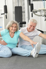 Sticker - Portrait of active smiling senior couple exercising