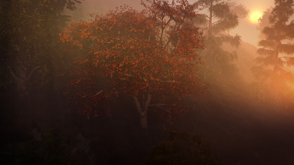  concept art of sunset in the misty forest environment 