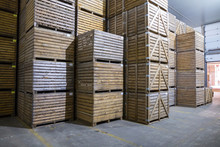 Potatoes Storage. Crops Warehouse. Dry Cool Storage. Stacked Wooden Crates With Potatoes.