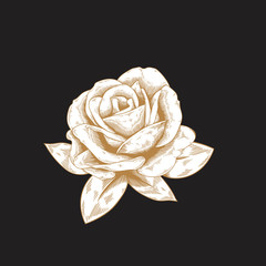 Sticker - Vintage rose drawing